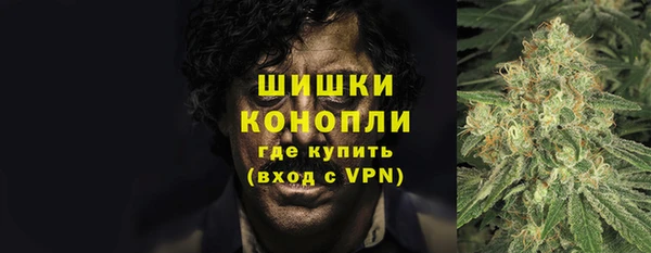 дурь Надым