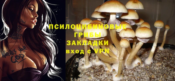 2c-b Навашино