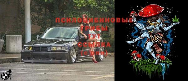 дурь Надым