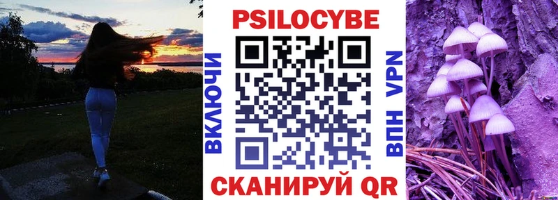 Купить где  Усть-Илимск  Псилоцибиновые грибы Cubensis 